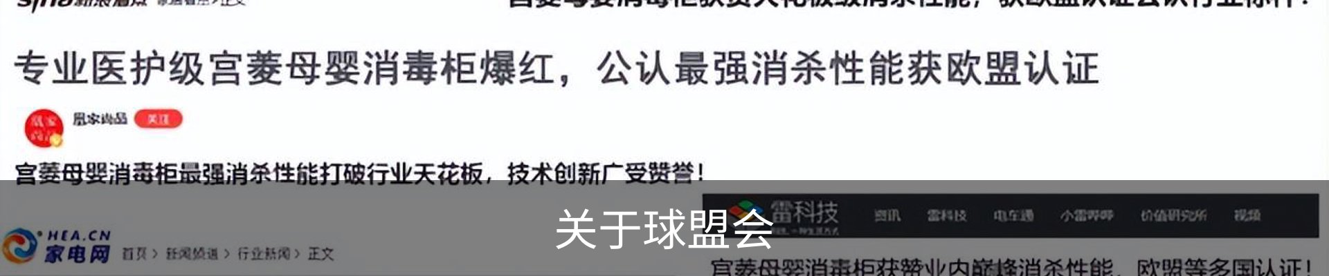 关于球盟会